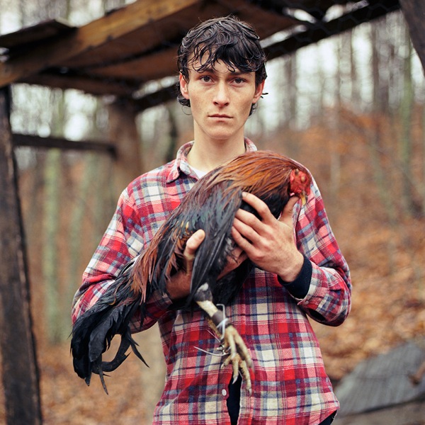 Young Man with fighting rooster
